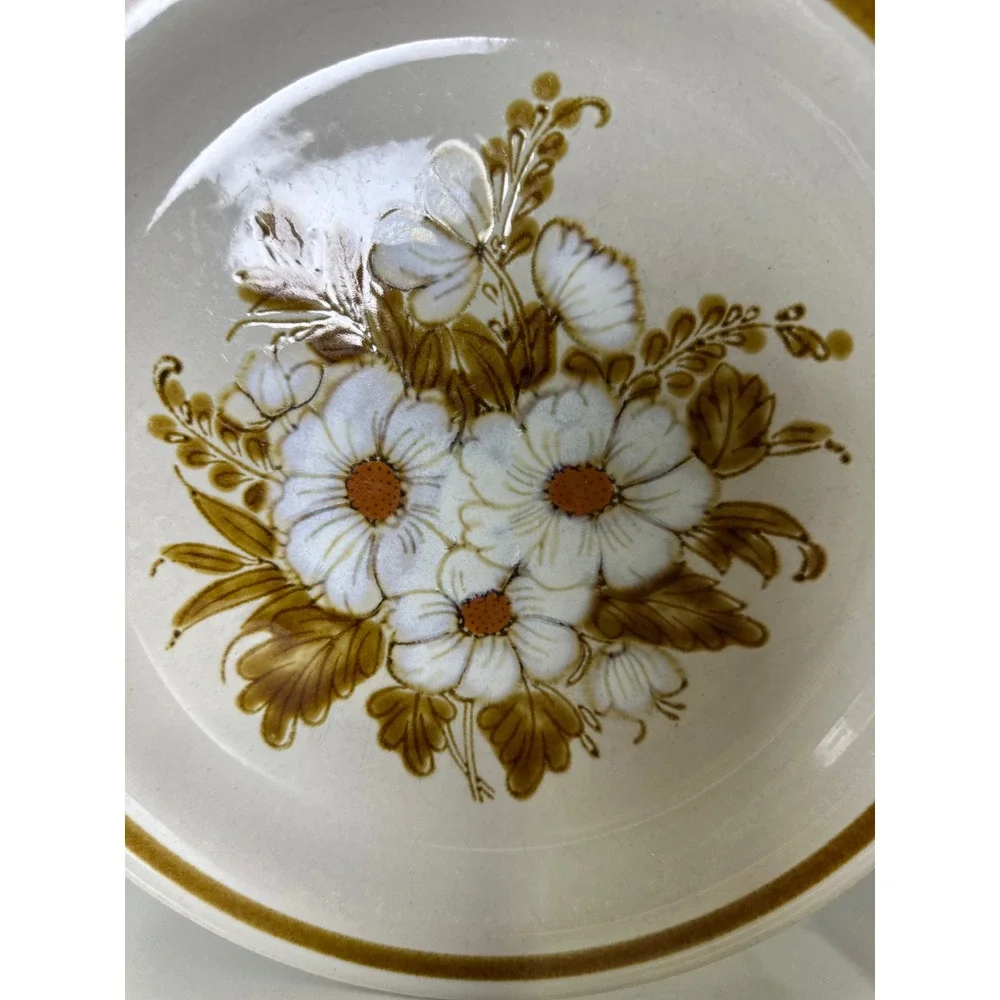 Mountain Wood Collection Dried Flowers Stw 2 Dinner Plate Japan Vintage Brown‎